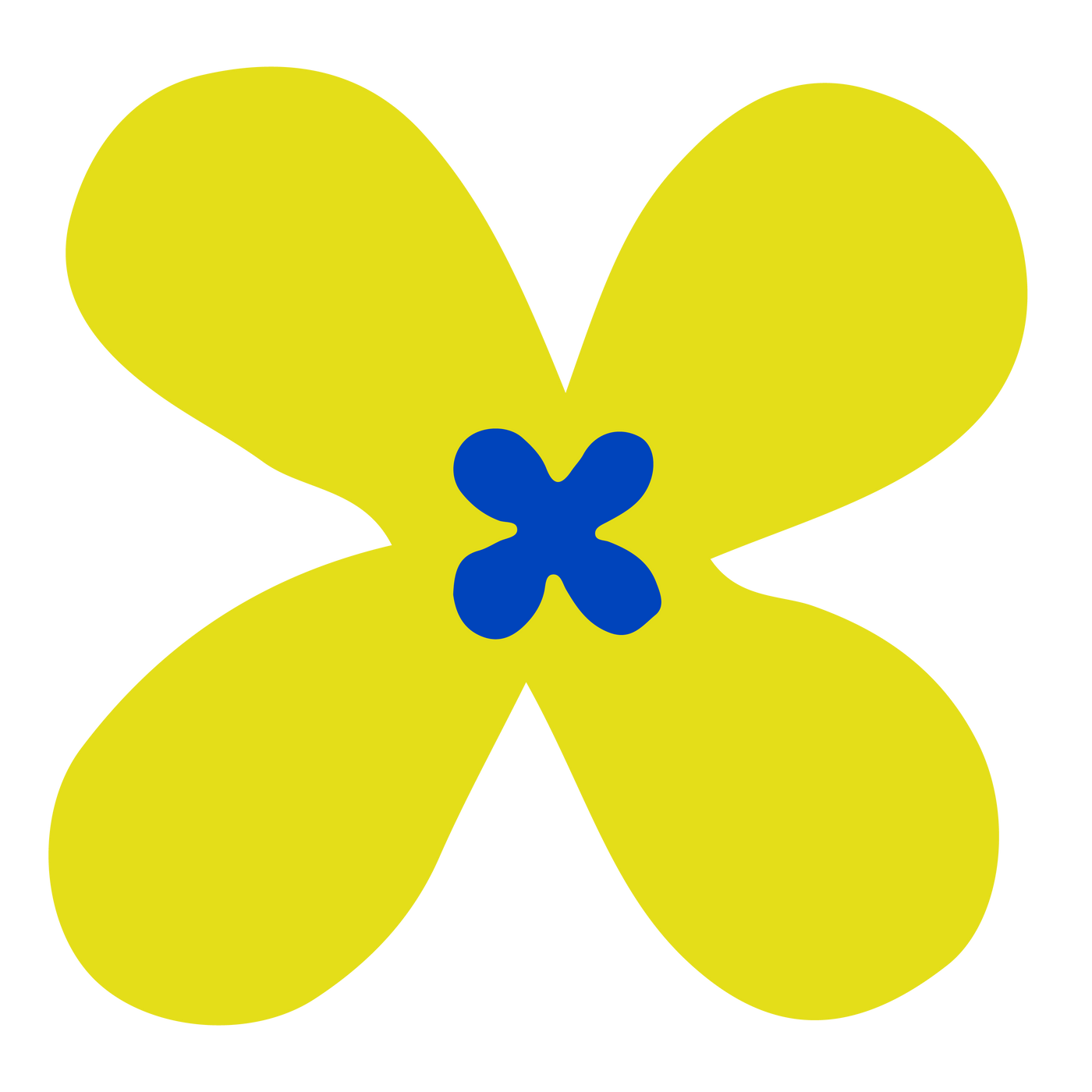 Flow State — A Studio Process